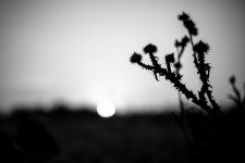 http://www.diafragm.net/rienquedesimages/files/gimgs/th-14__MG_7710.jpg